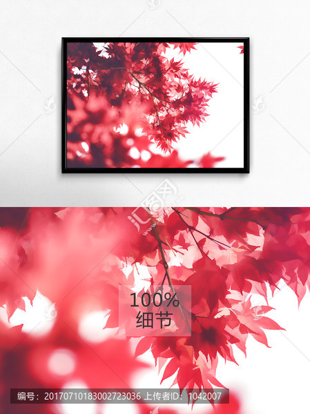 紅楓