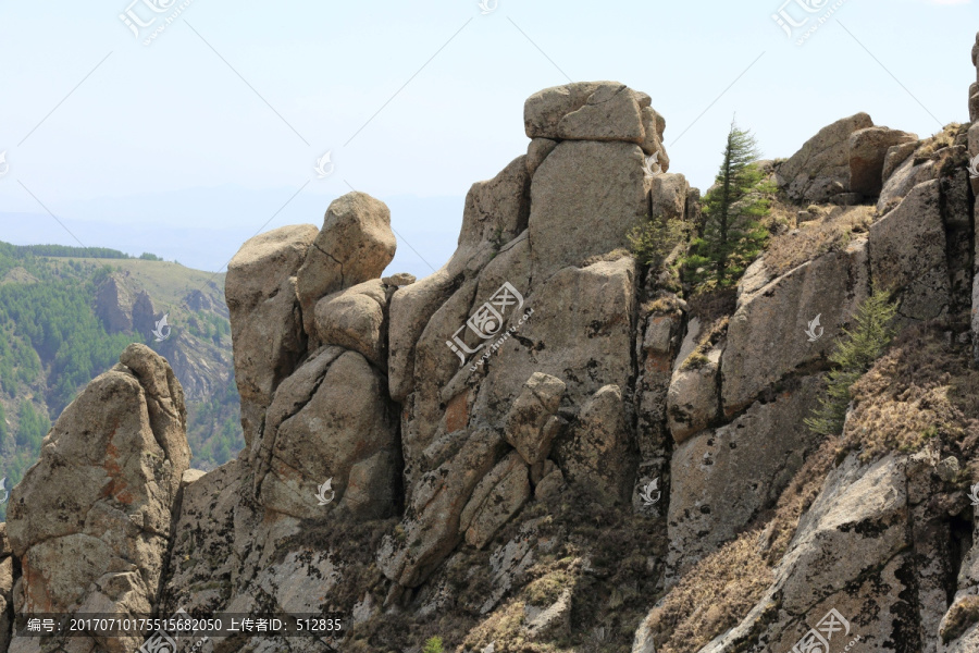 芦芽山