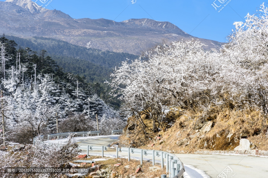 雪后美景