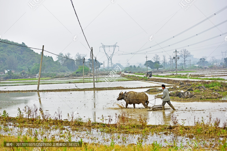 农民劳动场景