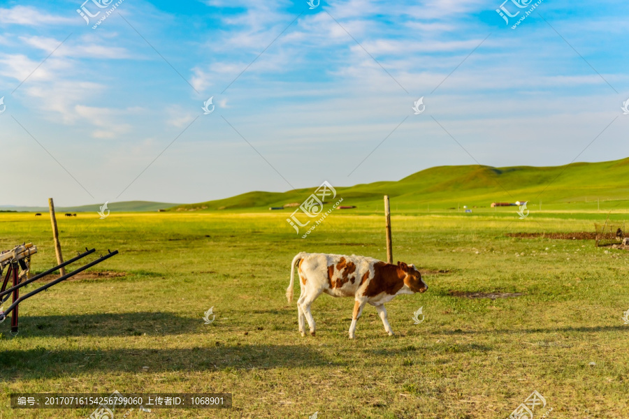 草原牧场,乌拉盖草原