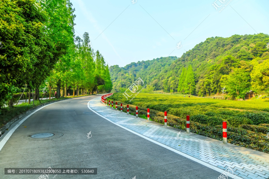 杭州西湖龙井茶园