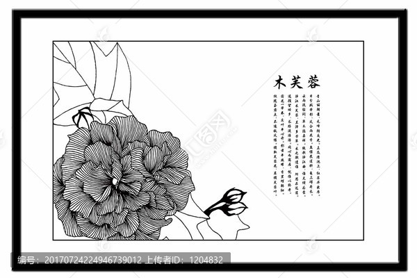 木芙蓉