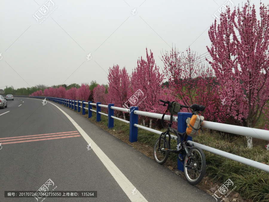 单车,自行车,骑行,折叠车,大