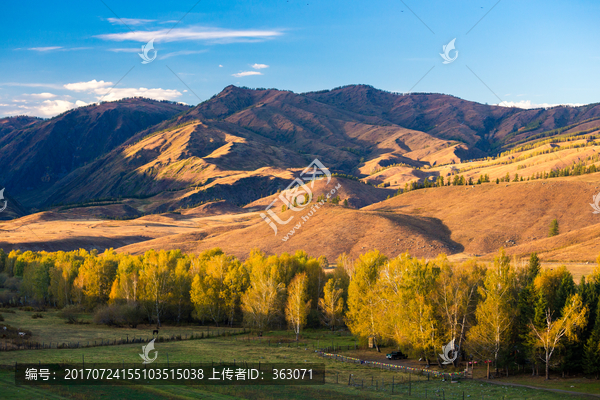 新疆白哈巴村秋景