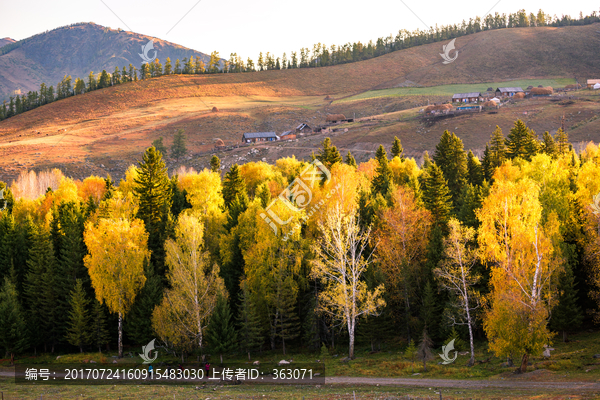 新疆白哈巴村晨景