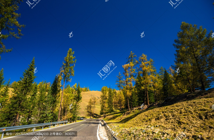 去往新疆喀纳斯贾登峪的路边风景