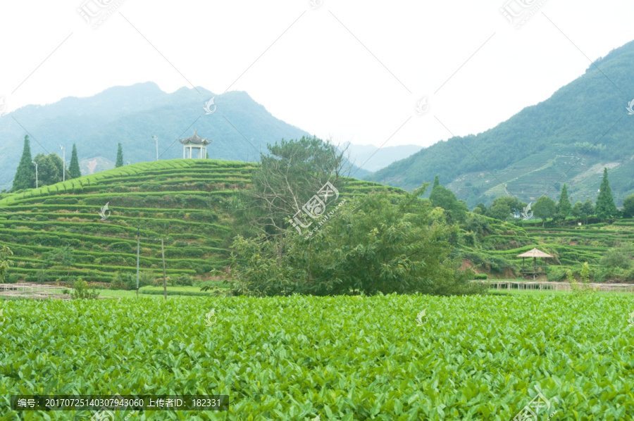 松阳大木山