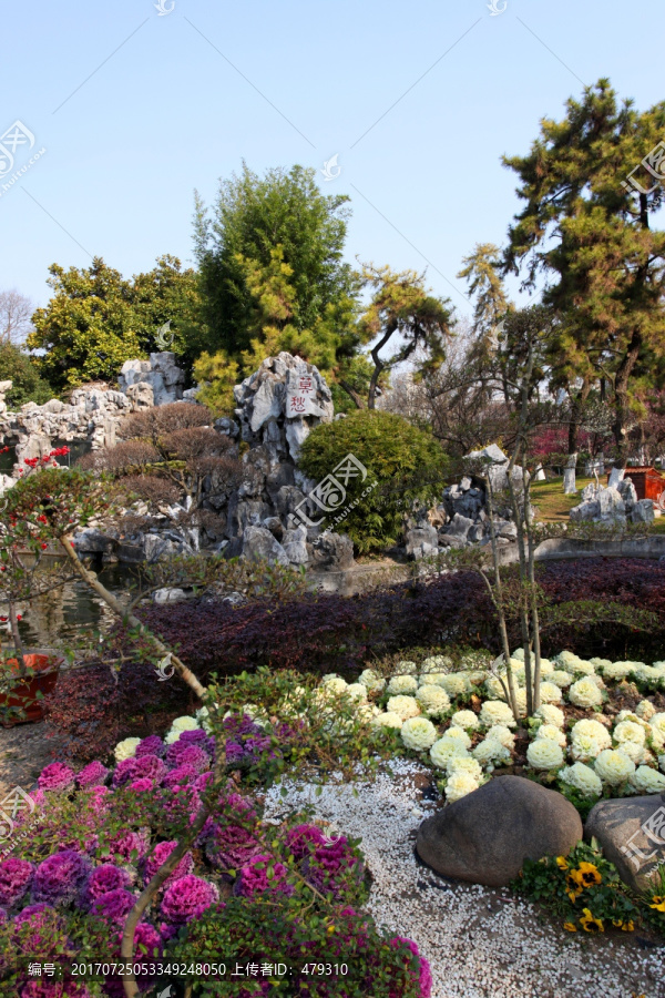 江南,南京,莫愁湖,花卉