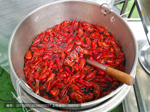 美食烹饪,油焖龙虾,卤小龙虾