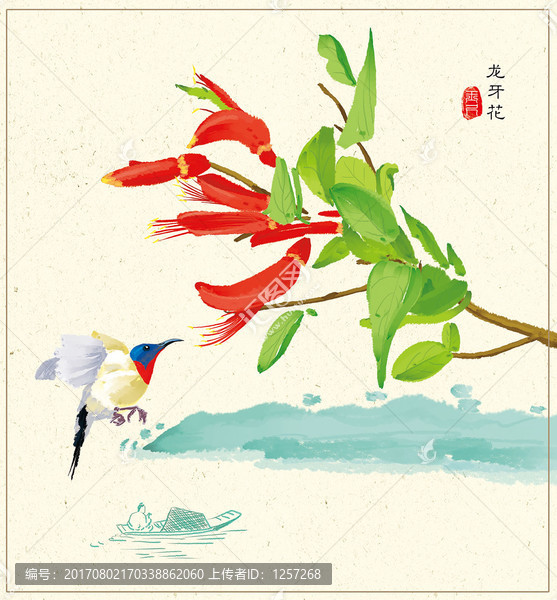 龍牙花