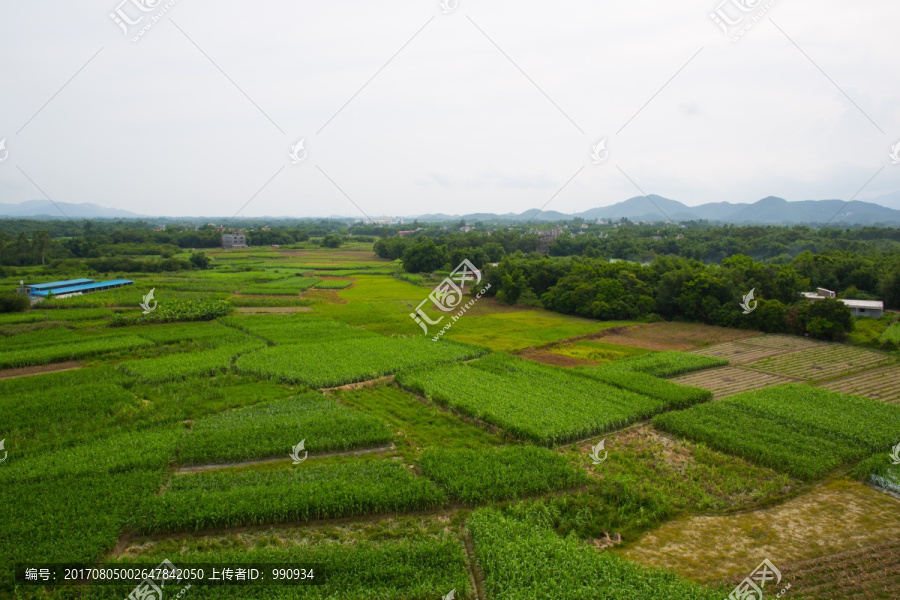 田野,航拍