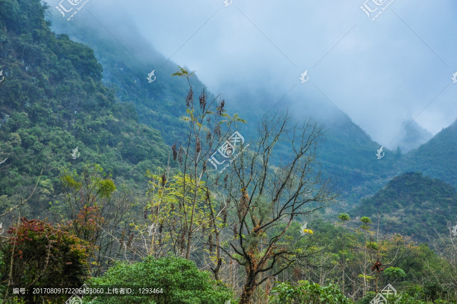 雾色山景