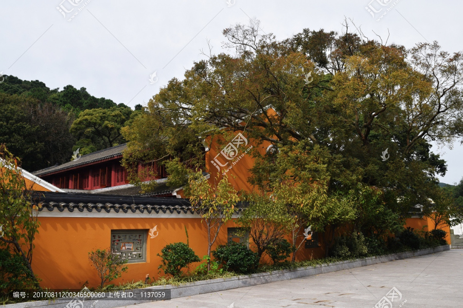 普陀山,悦岭禅院