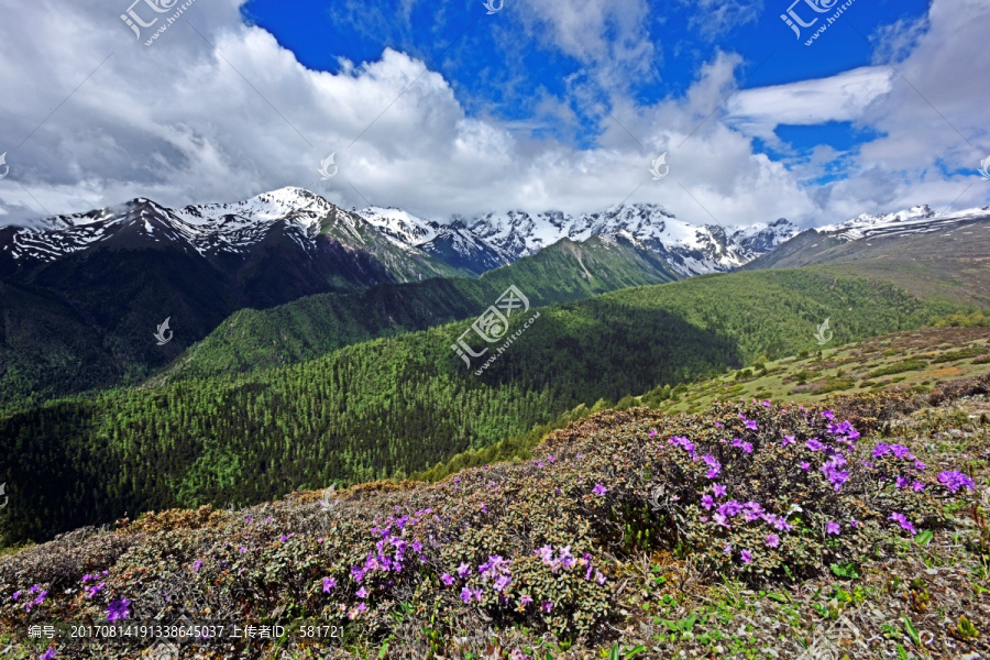 高山