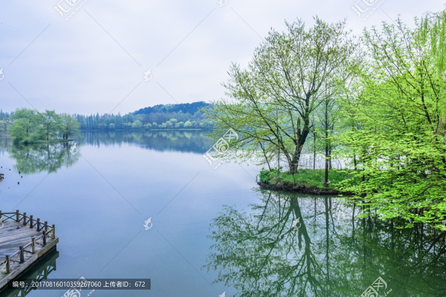 湖岸晨景