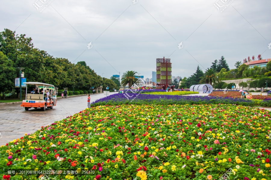 花海