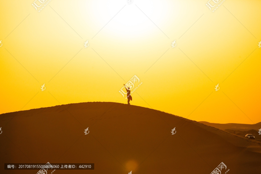 沙漠倩影