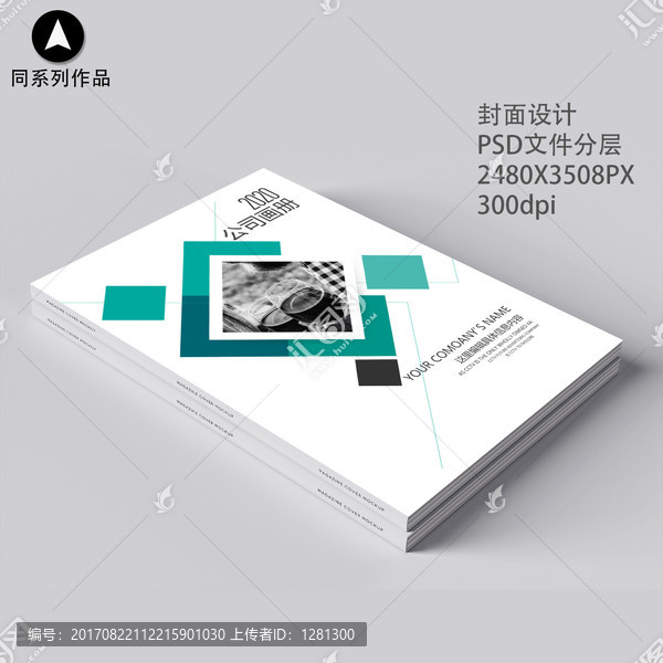 企業(yè)畫冊招商手冊標書封面