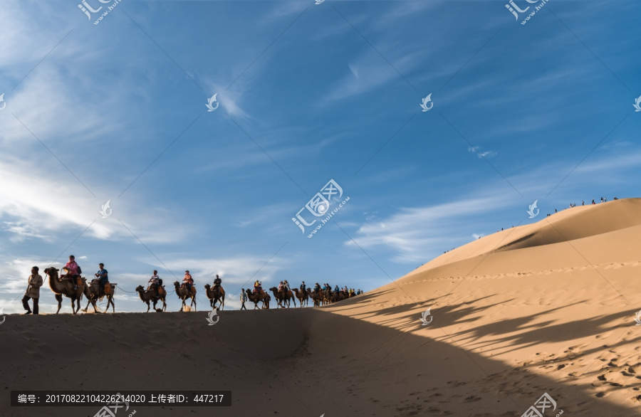 敦煌鸣沙山骆驼队