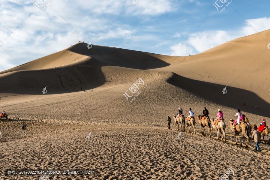 敦煌鸣沙山骆驼队