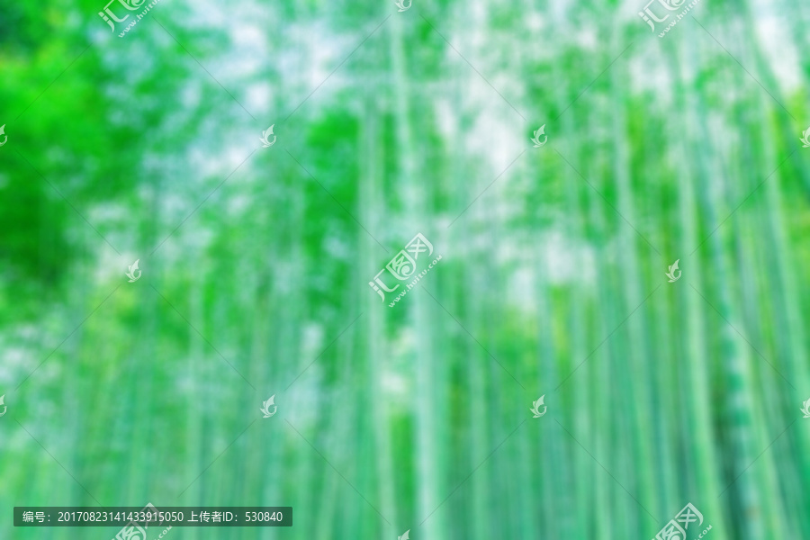 竹林竹子