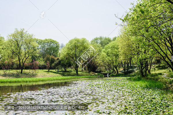 西湖周边水景