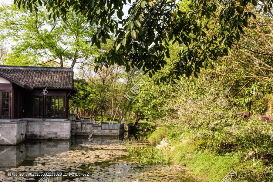 杭州花圃园林景观