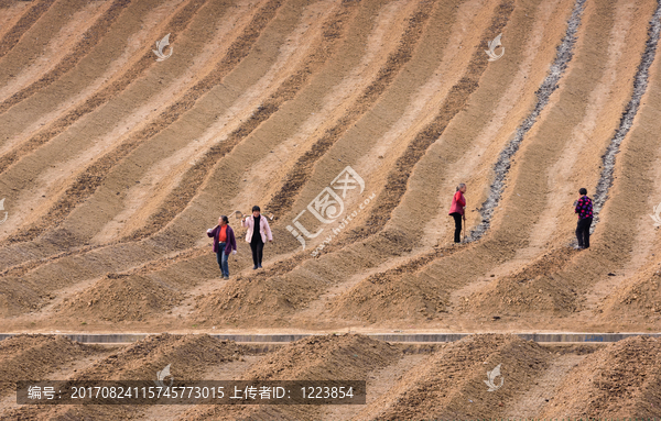 红土地上劳动的人群