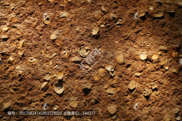 泥土中考古瓷片背景
