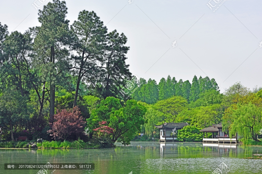 曲院风荷,西湖,杭州西湖