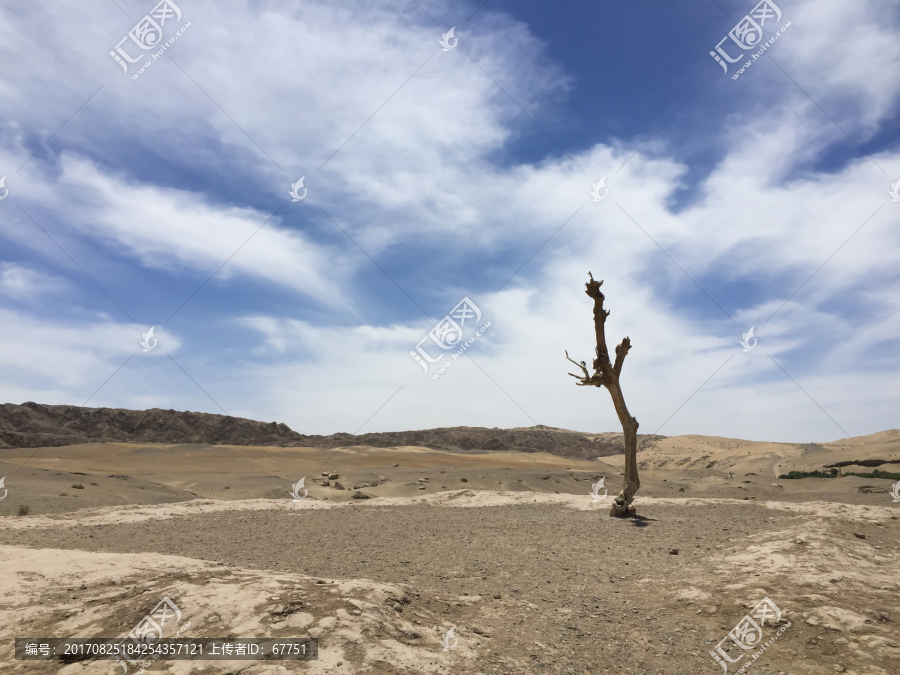 荒漠,沙漠,戈壁滩