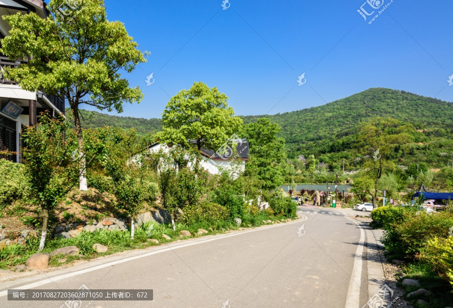 石塘竹海乡村风光