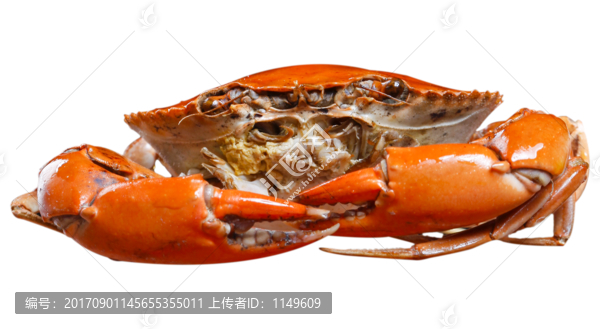 大閘蟹