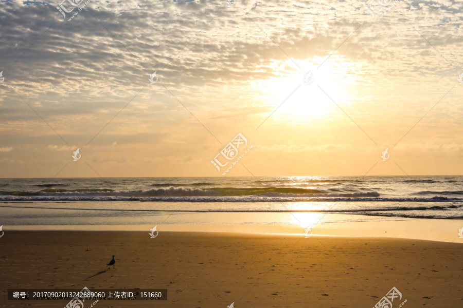 澳大利亚黄金海岸日出沙滩