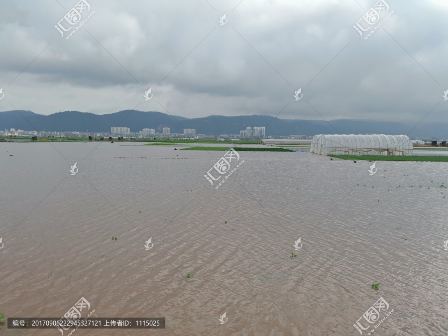 农田水灾