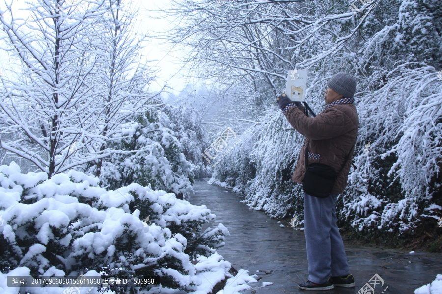 老人在岳麓山拍雪景赏雪景