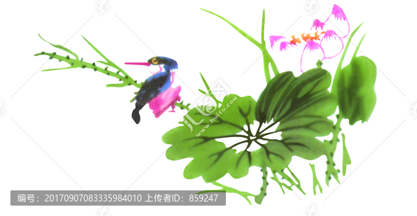 荷花鳥