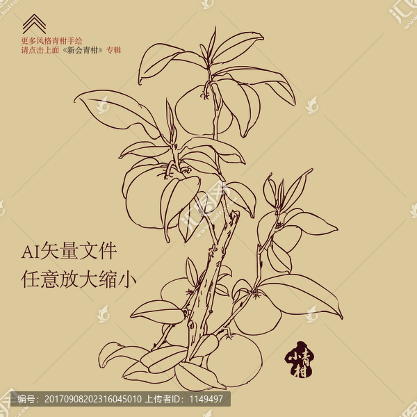 云南柑普,青柑,柑普茶包裝