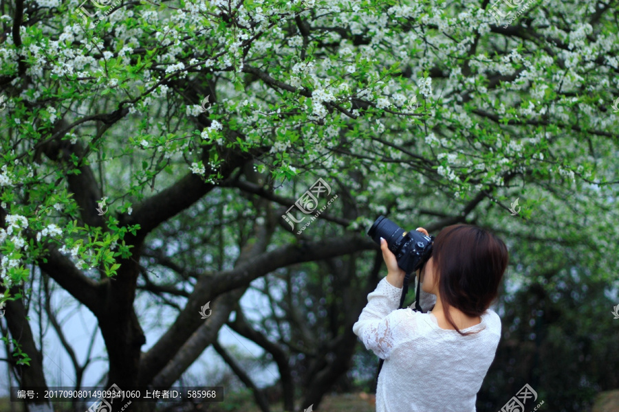 女摄影师拍花