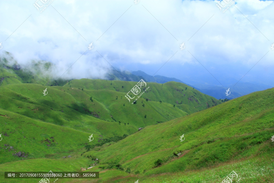 武功山高山草甸云中草原