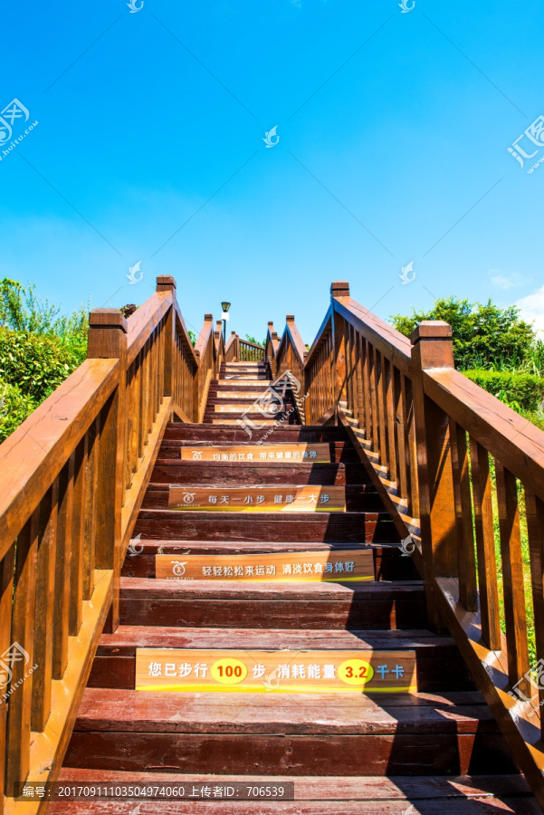 木质阶梯路,台阶,木楼梯,绿道