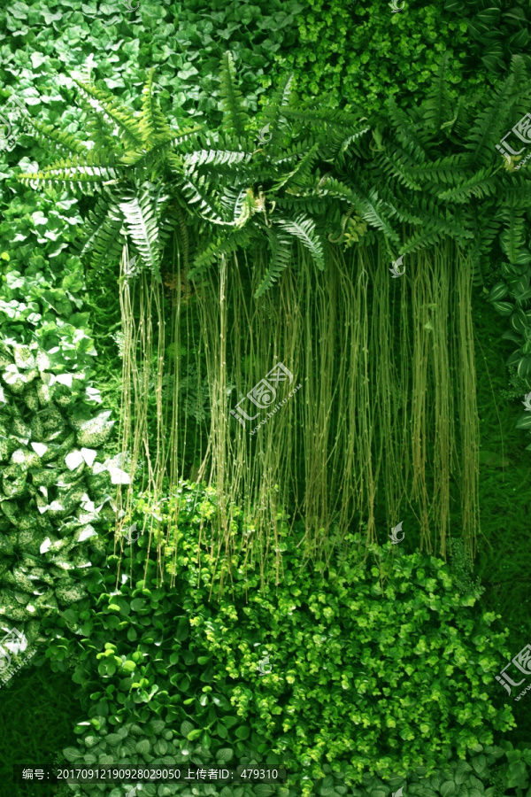 植物墻 植物 背景墻 裝飾 墻