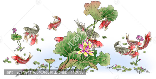 荷花,年年有魚