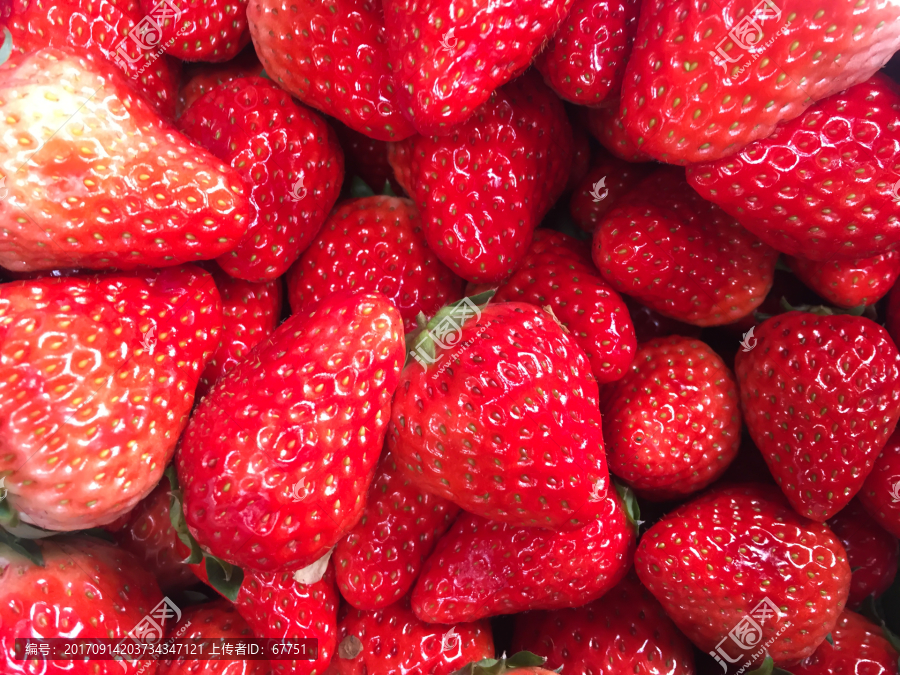 草莓,水果,果实,特写
