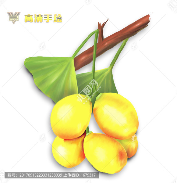手繪銀杏