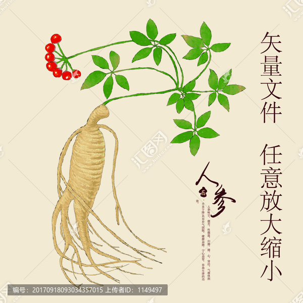 人參,人參產(chǎn)品,人參包裝設(shè)計