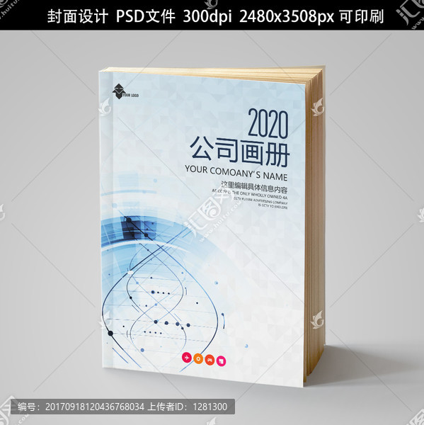 高端商務(wù)畫冊書籍標(biāo)書封面