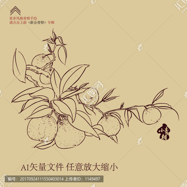 小青柑