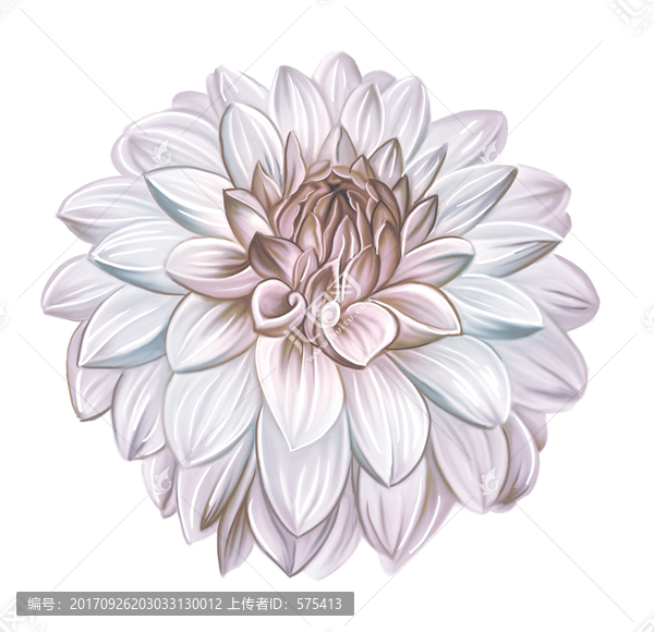 朵花